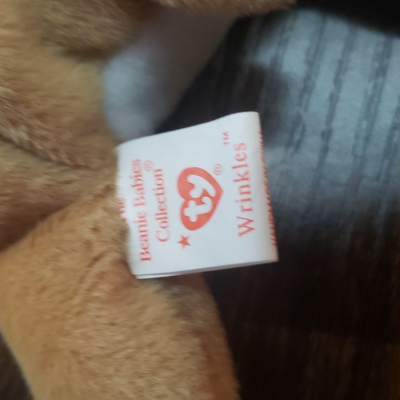 Ty Beanie babies collection Wrinkles 1996 - Picture 5 of 6